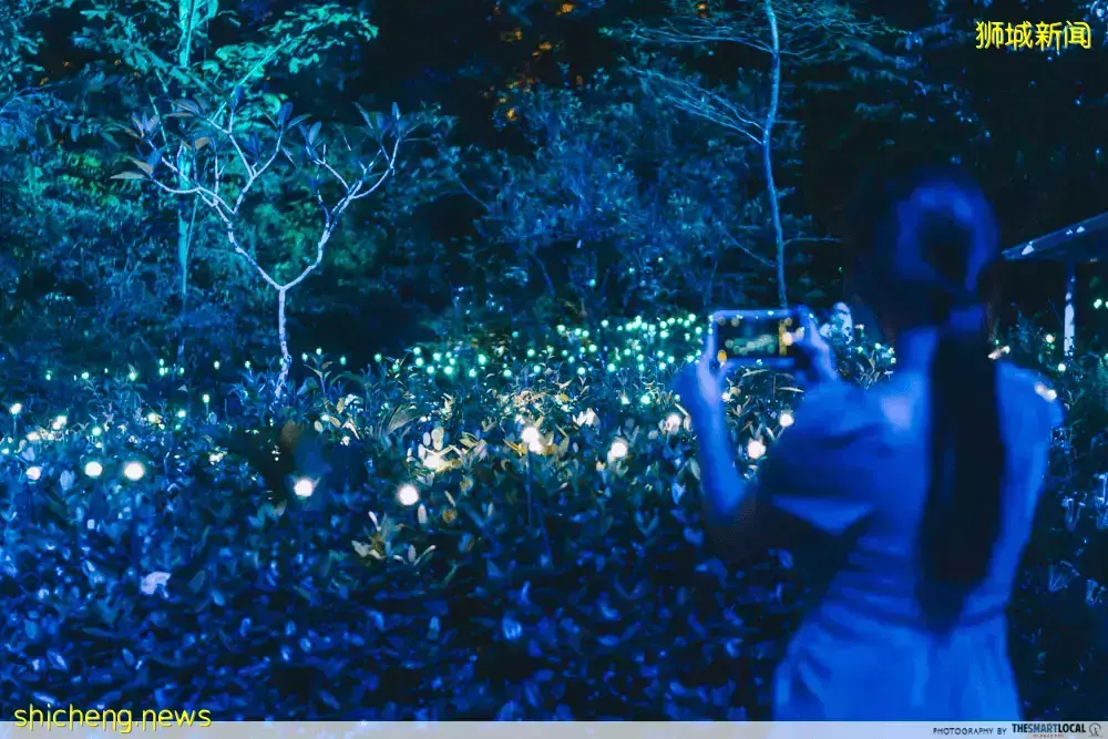 高空約會、熱帶飄雪、絕美燈光秀……2021年結束之前，在新加坡還有這些事要做