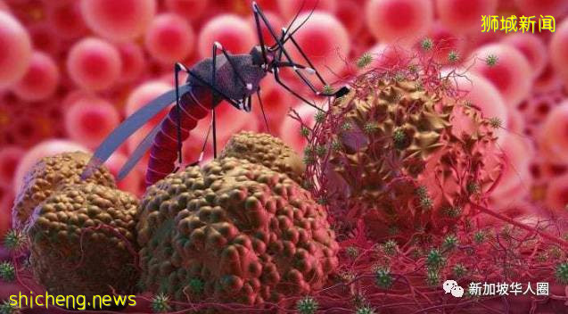 新加坡南大科学家研发成功疟疾检测仪,30分钟内得知是否感染