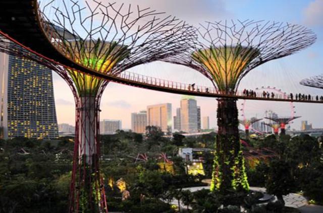 带你来到花园般的国家,城市里的森林——新加坡