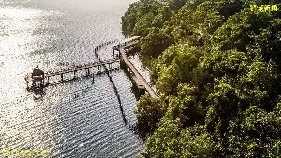 周末不懂要去哪?去新加坡TOP 3自然風光吧