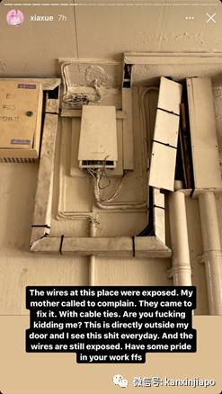 新加坡网红在反对党执政选区生活:“确实与众不同”