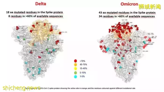255例，奧密克戎迅速蔓延至89國及地區，新加坡是否會收緊防疫