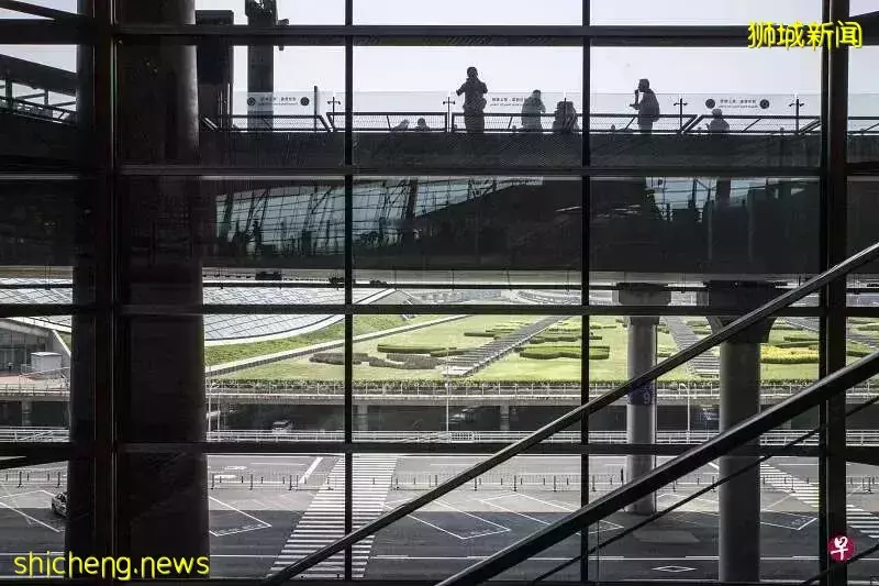 新加坡飞中国“天价机票”破一万新元大关！中国多地缩短入境隔离时间