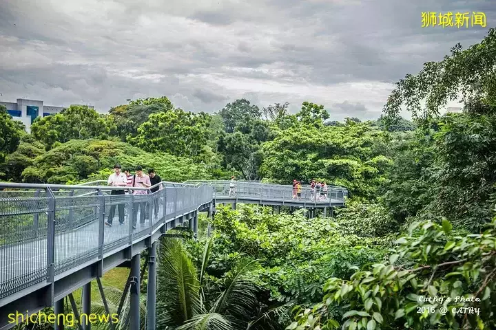 新加坡富人區驚現一匹黑馬奔騰!網友表示:好羨慕花園城市