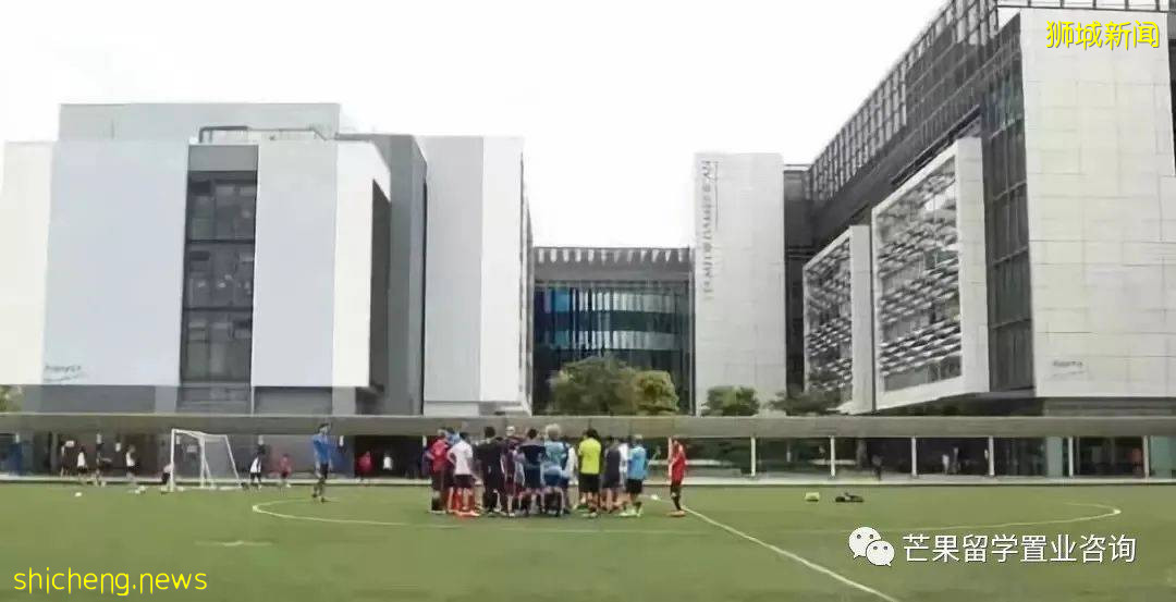 新加坡这两所超人气国际学校,为何独受明星、高管家长青睐