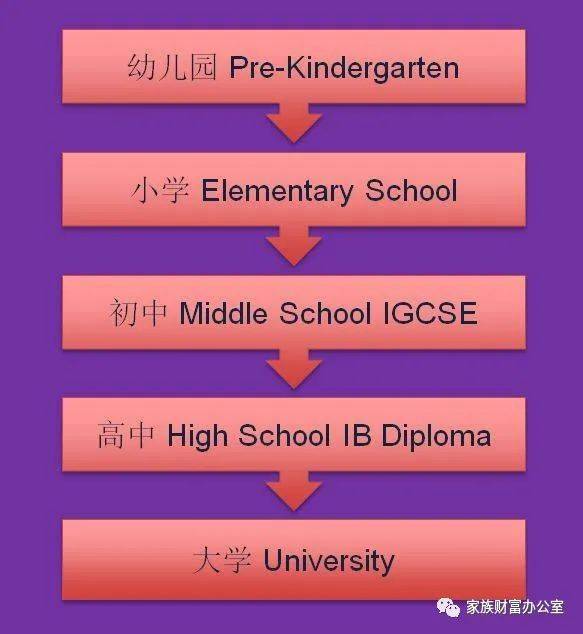 和明星還有駐新外交使節或跨國公司高管的子女做同學？強大朋友圈