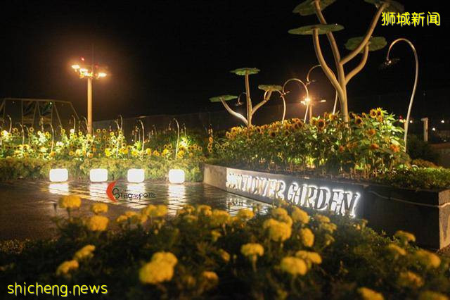 谁说机场一定无聊,新加坡机场到底有多好玩