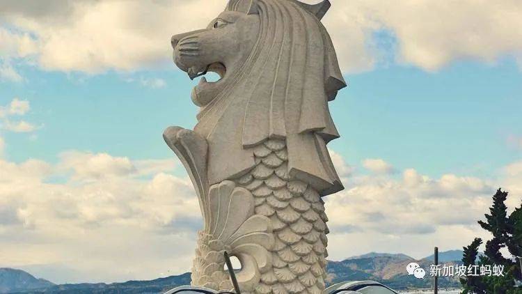 日本和歐洲也有魚尾獅? 它比你我知道的還要神出鬼沒