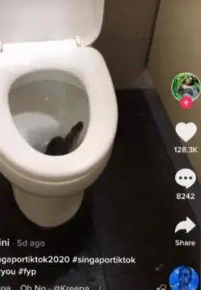 老司機都知道，新加坡廁所會發生這種事