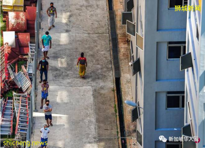 新增261例!新加坡預計8-9月檢測完所有客工!國際航班數量或增加!