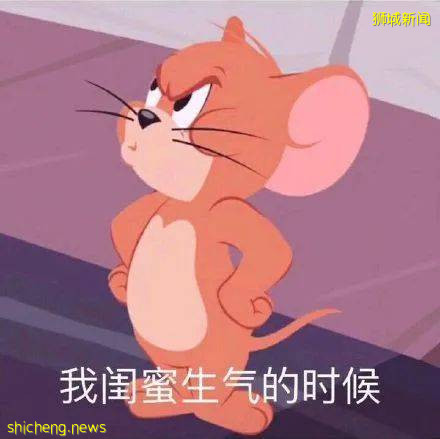 在新加坡请女佣有诸多不易,过来人的一点心路历程