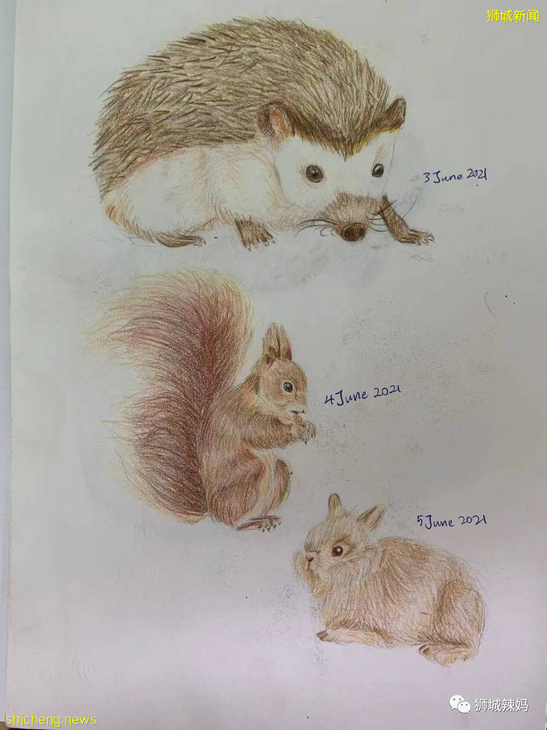 准备1年半拿到南洋女中DSA录取通知，这个冷门项目估计你不知道