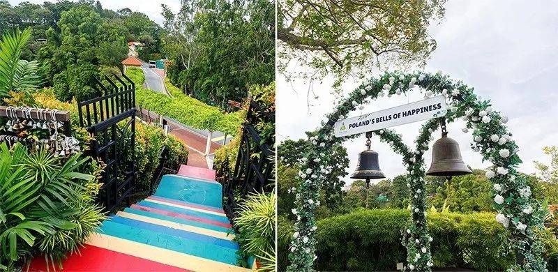 玩轉花柏山纜車新方式!官方出品的Gai Gai Tour你試過嗎