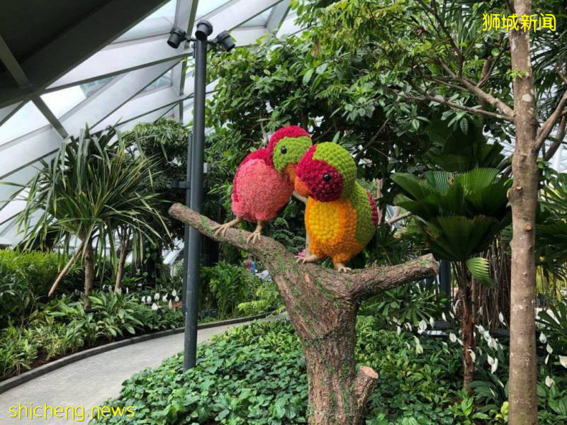 Jewel限时优惠,凭当日消费小票,可兑换双人Canopy Park免费门票!【有效期至9月30日】