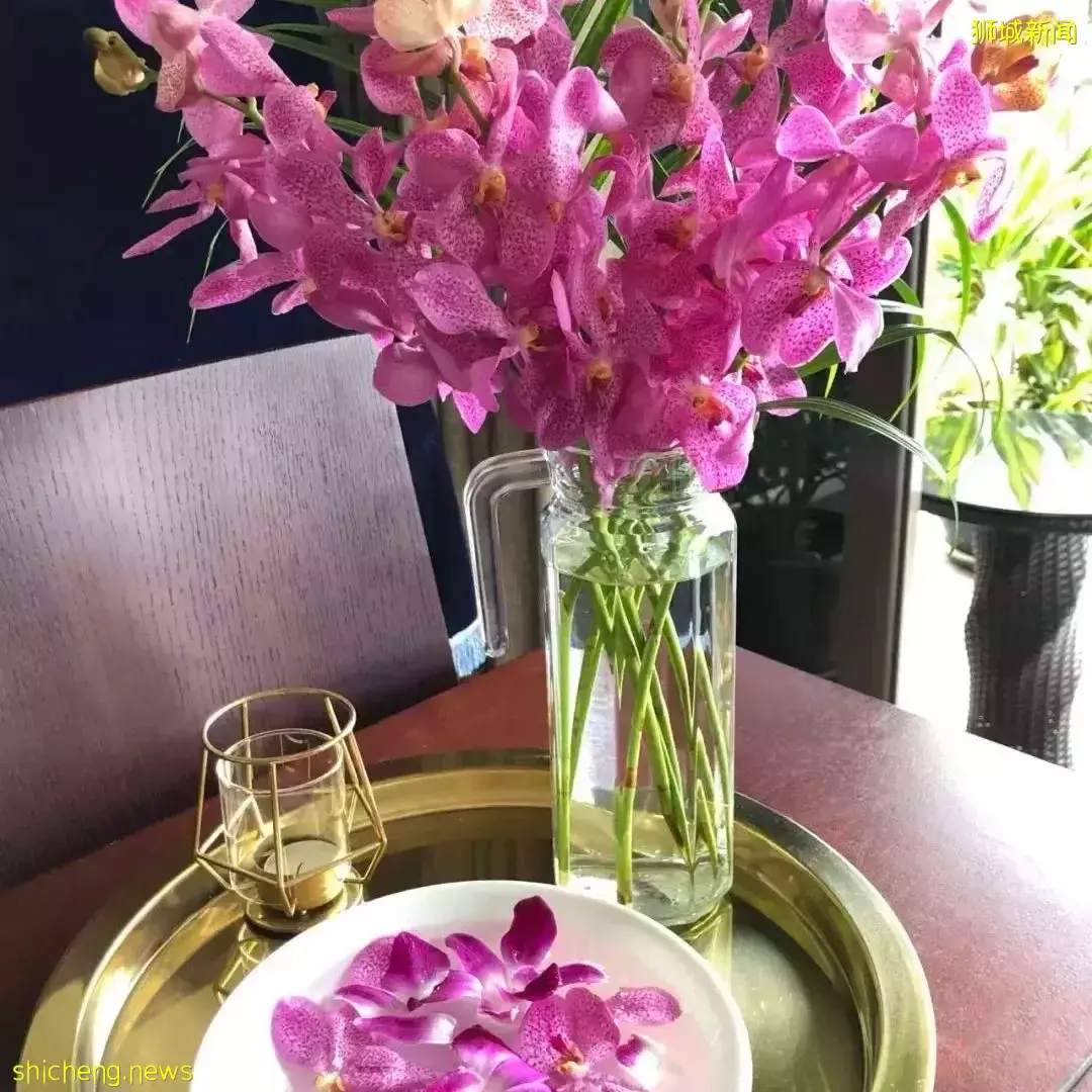 鮮花在熱帶也能養1個月？資深花友新加坡買花、養護大揭秘