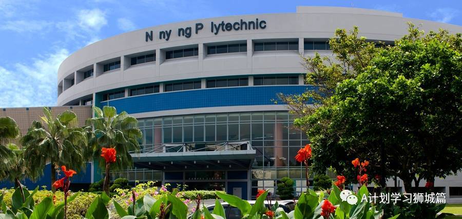 新加坡六所公立大學、工教院和理學院,今年繼續爲應屆畢業生免費培訓