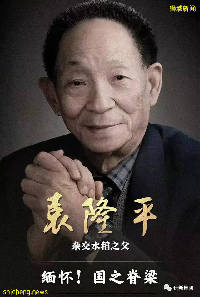 新加坡没有袁隆平，如何解决粮食安全问题