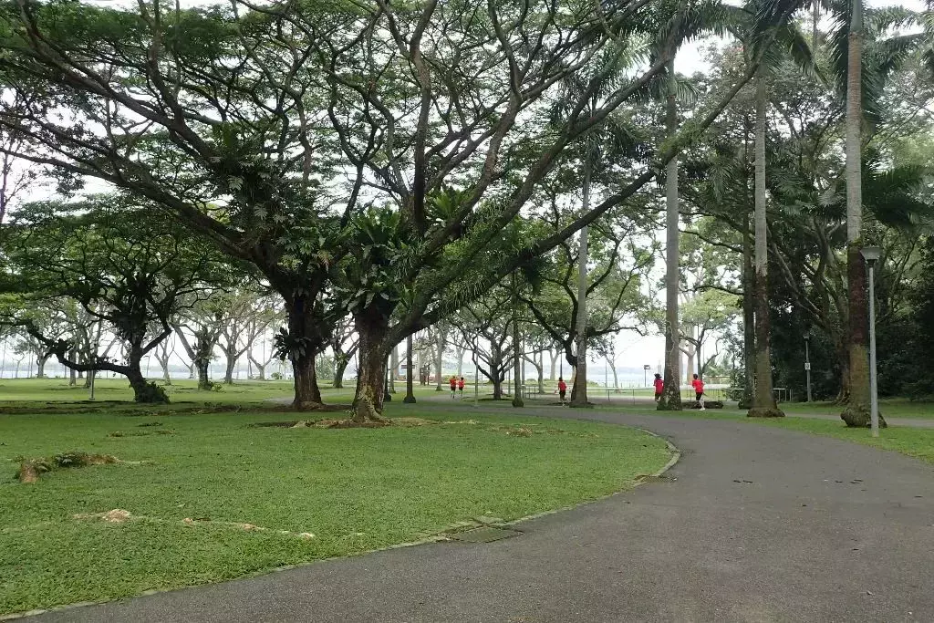 隐藏秘籍！新加坡26条远足路线：寻找长尾猕猴、红毛丹种植园，眺望最美海峡