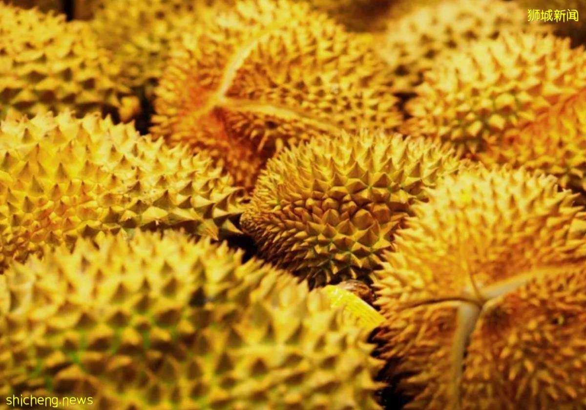 掉地上的榴梿不能捡！罚款最高可达5万元