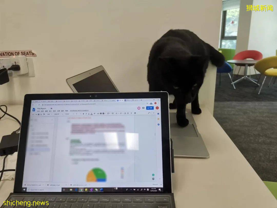 《南洋理工大學撸貓指南》