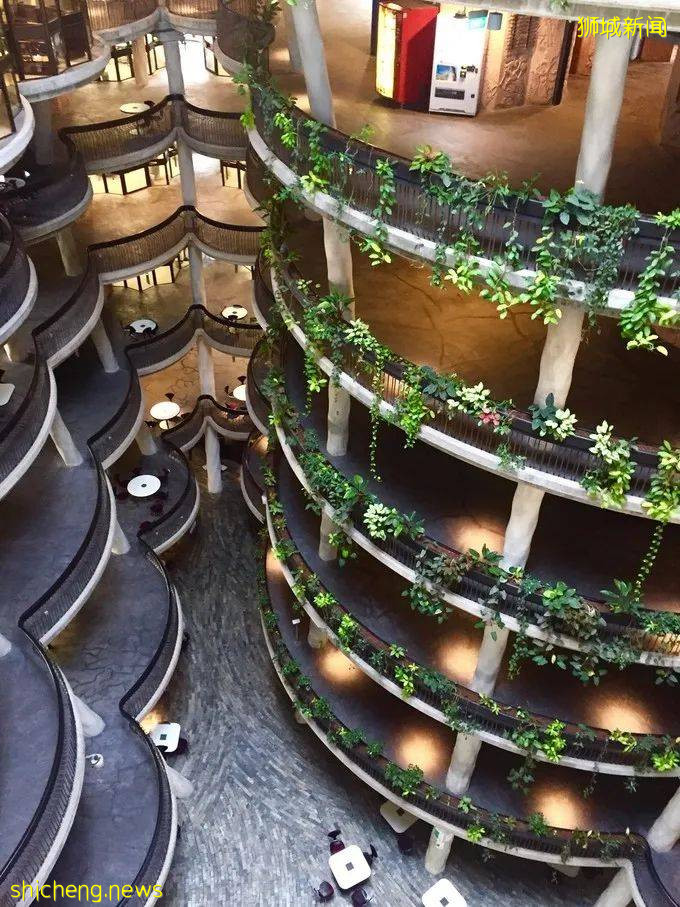 新加坡 在風景如畫的新加坡讀大學，體驗不一樣的魅力