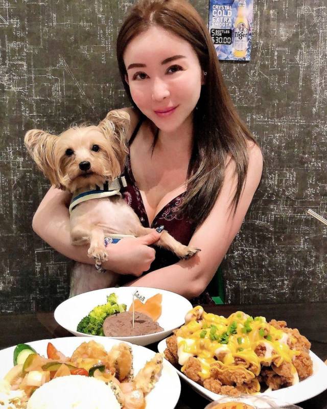 超治愈撸狗圣地 !和狗狗来一场亲密约会🐶 宠物聚集地,把这份可爱收藏起来💌