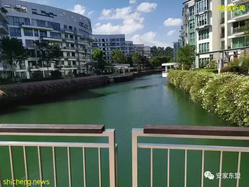 新加坡性價比高的大平層盤點,對面的土豪看過來,中新兩地3千萬美金富豪4年內會增50%