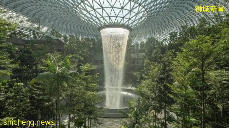 新加坡進入解封第二階段之後, 又有國際學校入駐新加坡