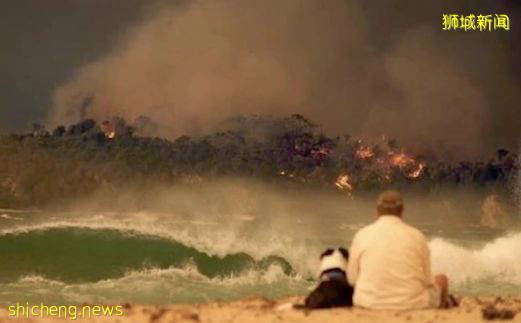 全球確診破700萬!2020,見證曆史的一年!