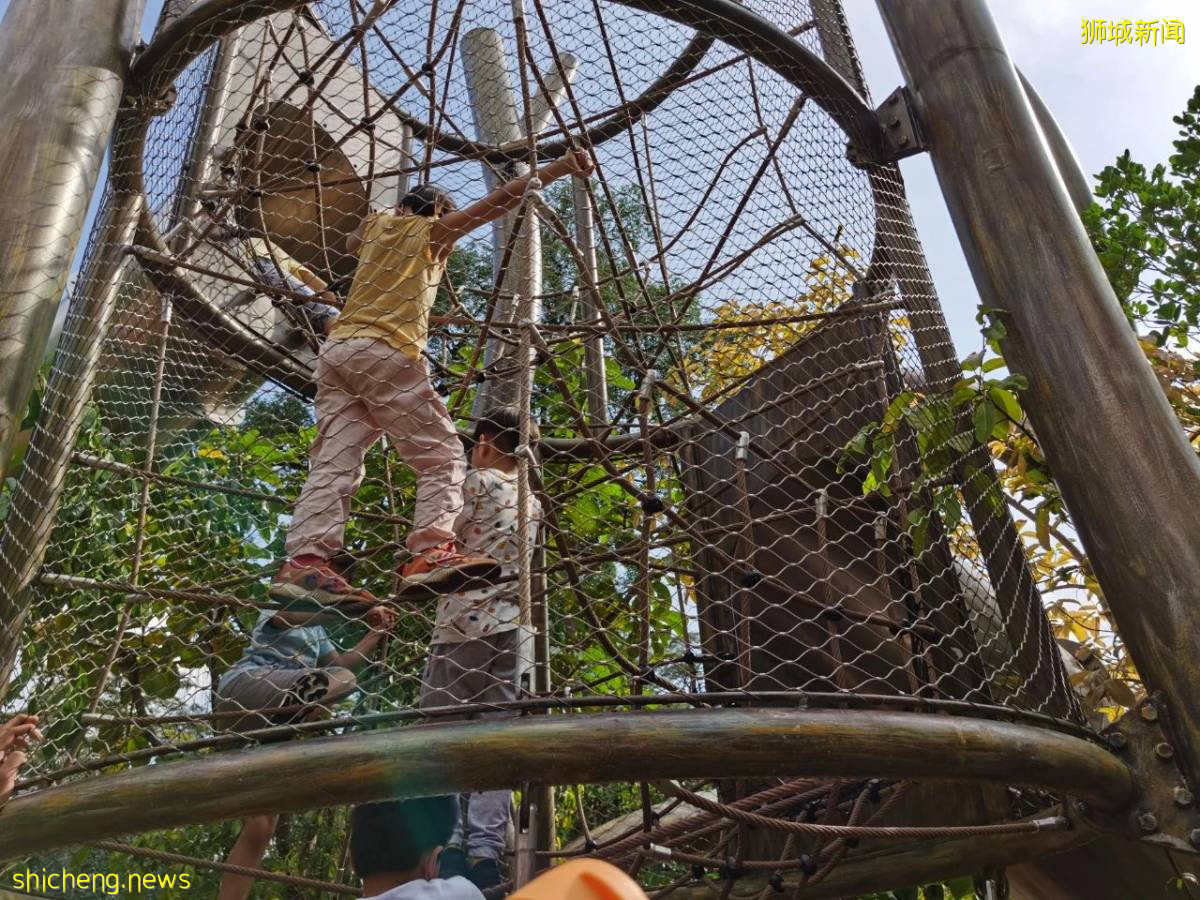 叢林遊樂場、自然博物館、山路徒步……新加坡這個公園翻新後更好玩啦