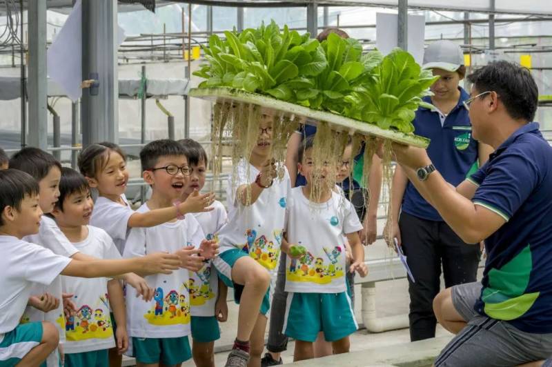 種水稻，摘蘑菇，新鮮蘆荟飲品！藏在新加坡的7大蔬菜農場我找到啦