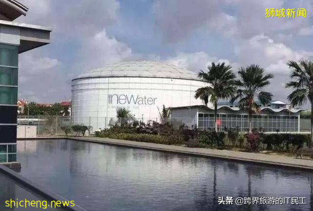 發達國家新加坡,有哪些令人奇怪的規定