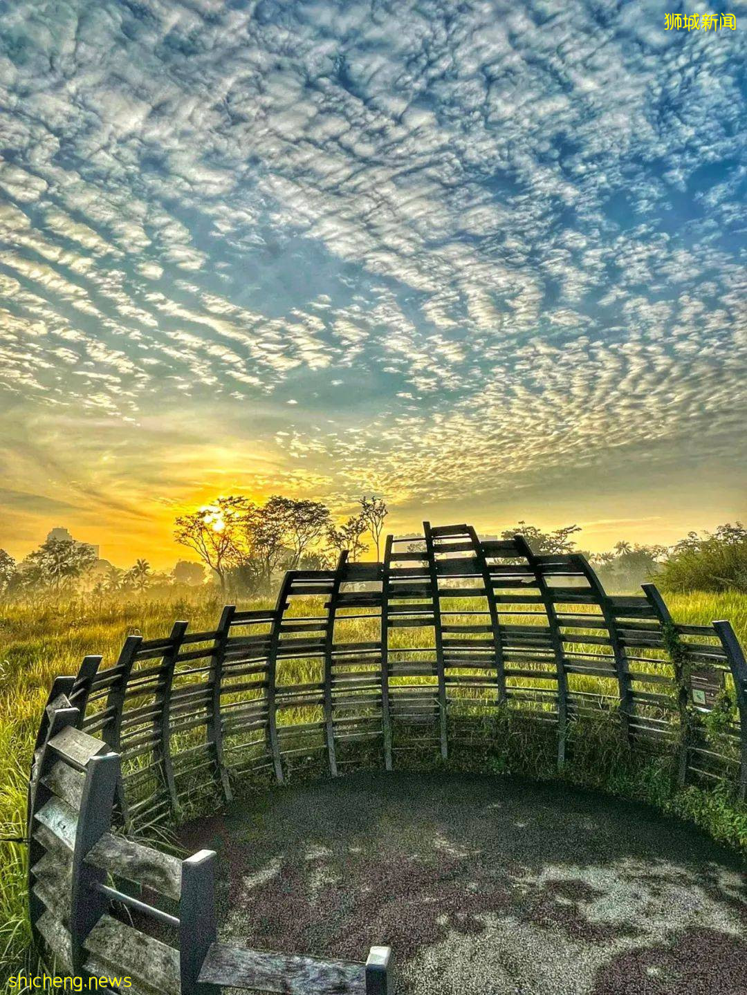 新加坡“遇襲”圖片遭瘋傳，驚現末日場景！魚尾獅斷頭、大樓被腰斬、市中心傾塌成廢墟