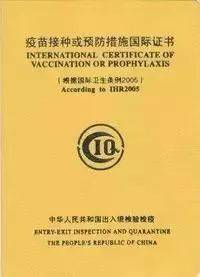 新加坡开学季,留学“避雷”指南