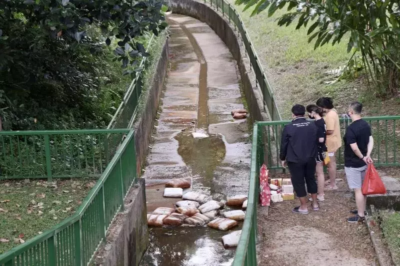 双胞小兄弟卧尸沟渠案 女佣称听见女子喊“救命”