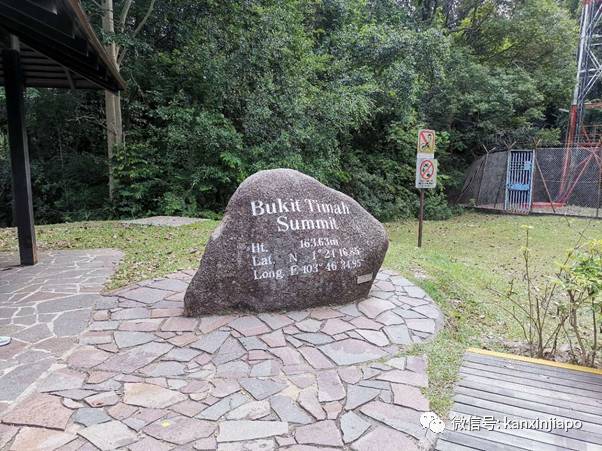 隐藏多年在金文泰的仙境,竟是新加坡面积第二大次森林