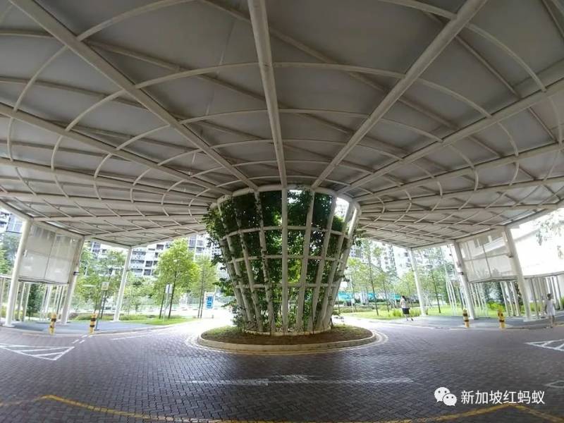 狮城最贴心的一道风景:无处不在的有盖走廊