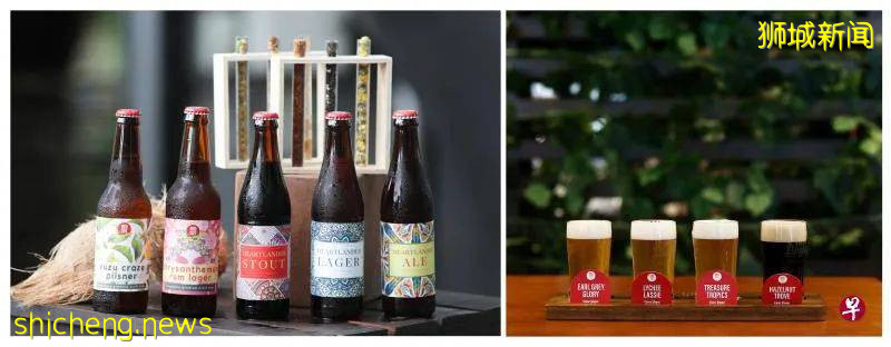 新加坡人釀的酒能喝嗎？”看獅城年輕人突圍打造“新茅台啤酒”等新口味