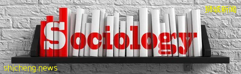 別踩坑了！這些才是新加坡最好的專業