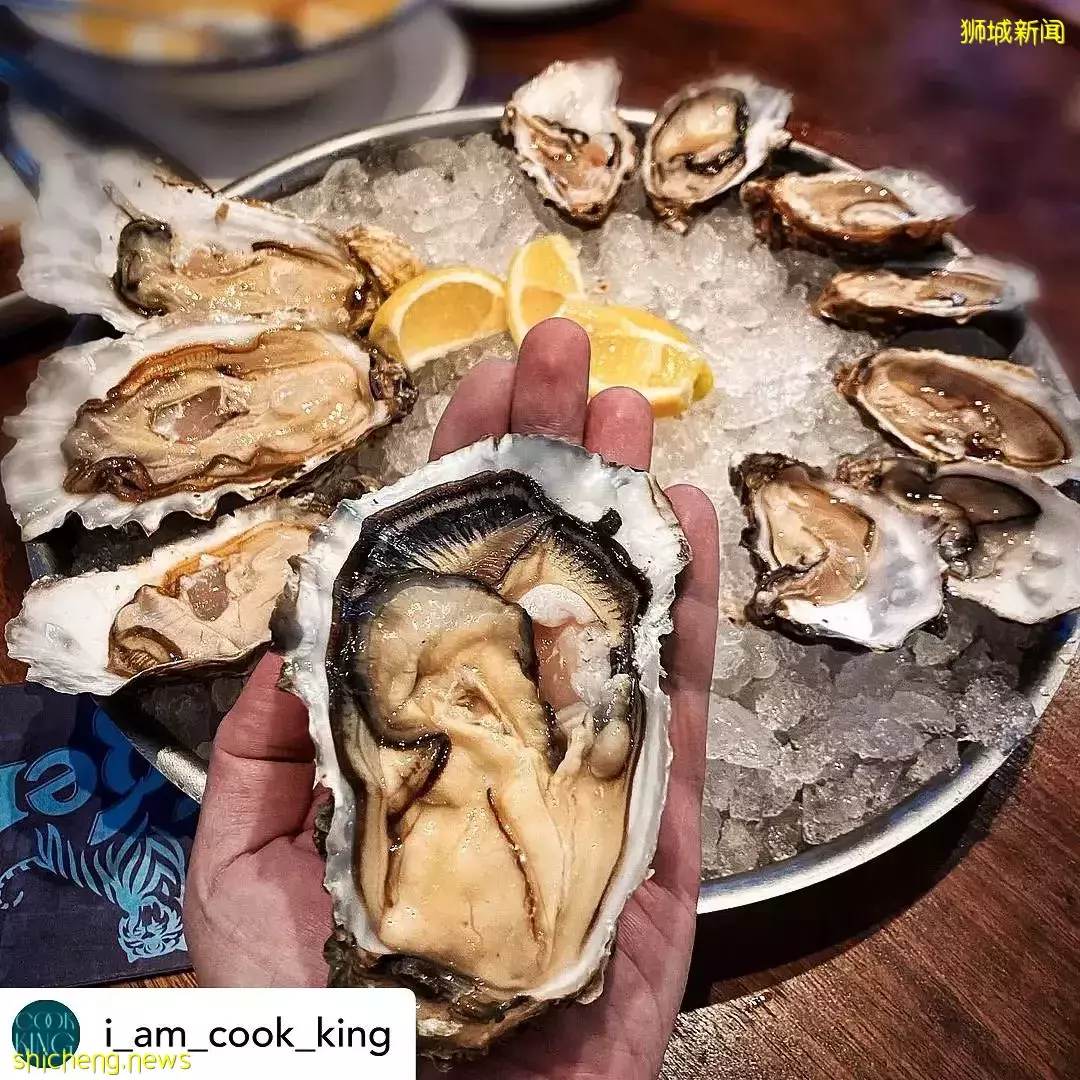 世界生蚝品鑒節!全世界七大知名産地、29種生蚝🦪一次性吃到爽