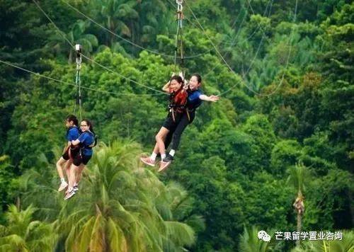 新加坡各阶段申请条件、学费及CAA课程