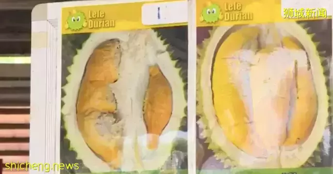 新加坡榴梿季来了!涨价不多,但数量供应减少