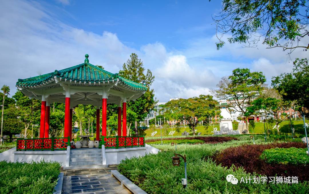 新加坡國大、南大及新大近三年錄取情況彙總 （2021）