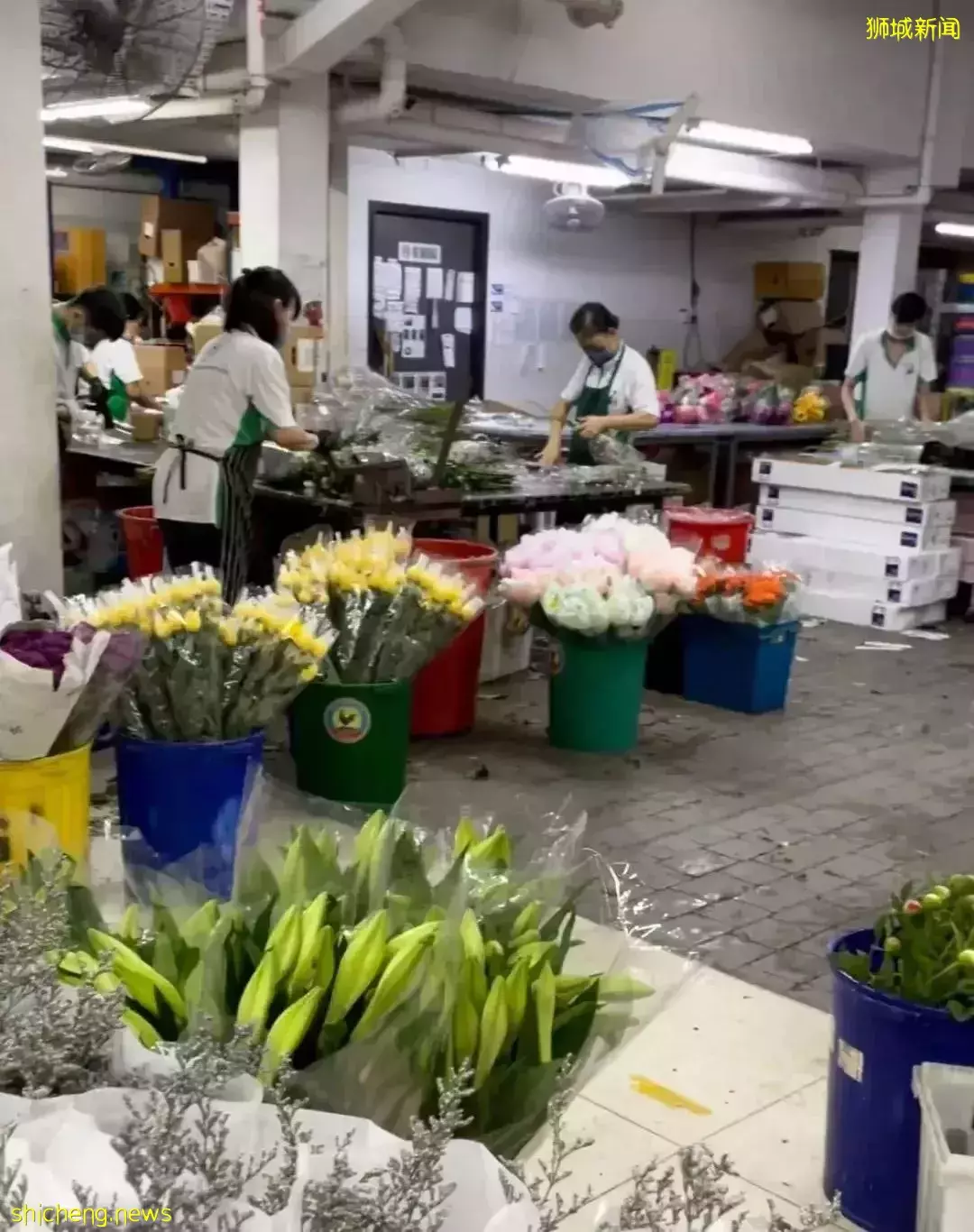 鮮花在熱帶也能養1個月？資深花友新加坡買花、養護大揭秘