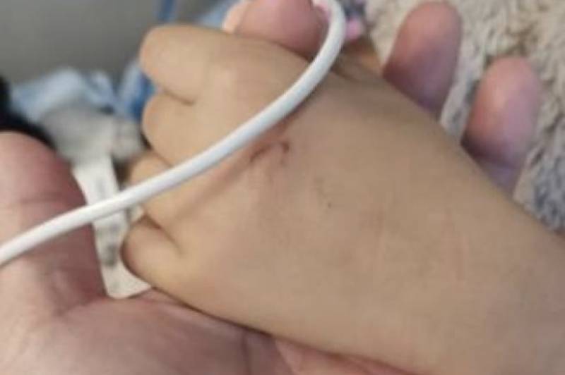 新加坡恐怖車禍!貨車跟奧迪馬路上競賽,被撞爛是它