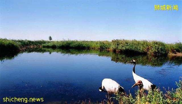 新加坡教育 自然科學讓“愛護環境，從你我做起”真正落實到實處