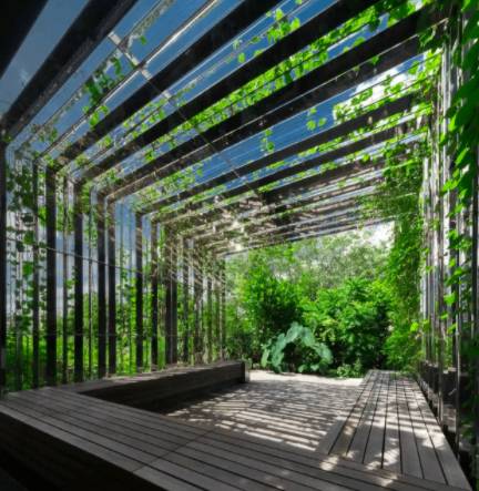 在CBD也可以擁抱綠色自然——細數新加坡那些鬧中取靜的Secret Garden