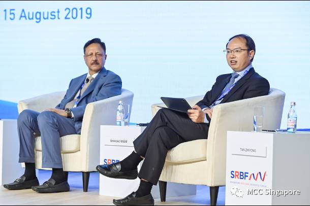 谁是中冶新加坡?(一)