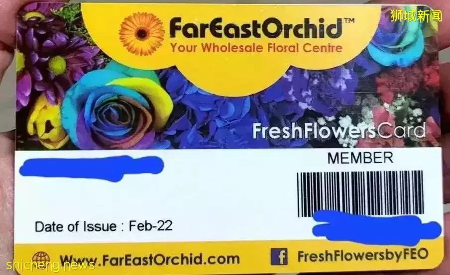 鮮花在熱帶也能養1個月？資深花友新加坡買花、養護大揭秘