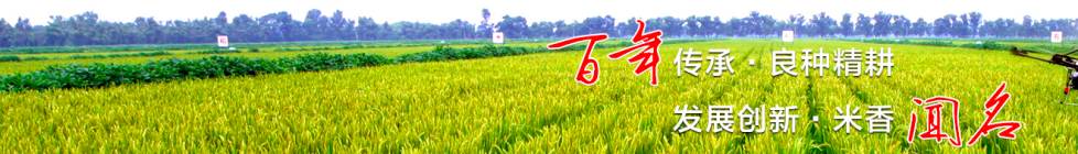 中国东北蟹稻共存生态大米首次引进新加坡，快来尝鲜吧